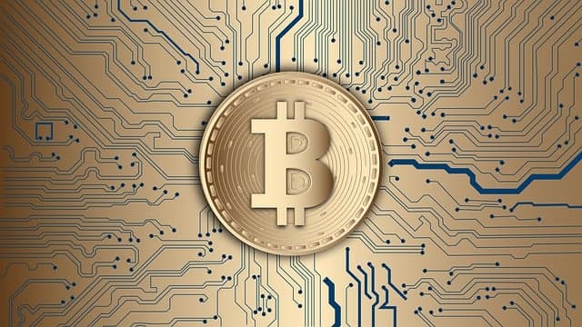 Bet Like a Pro: The Best Crypto Betting Sites logo