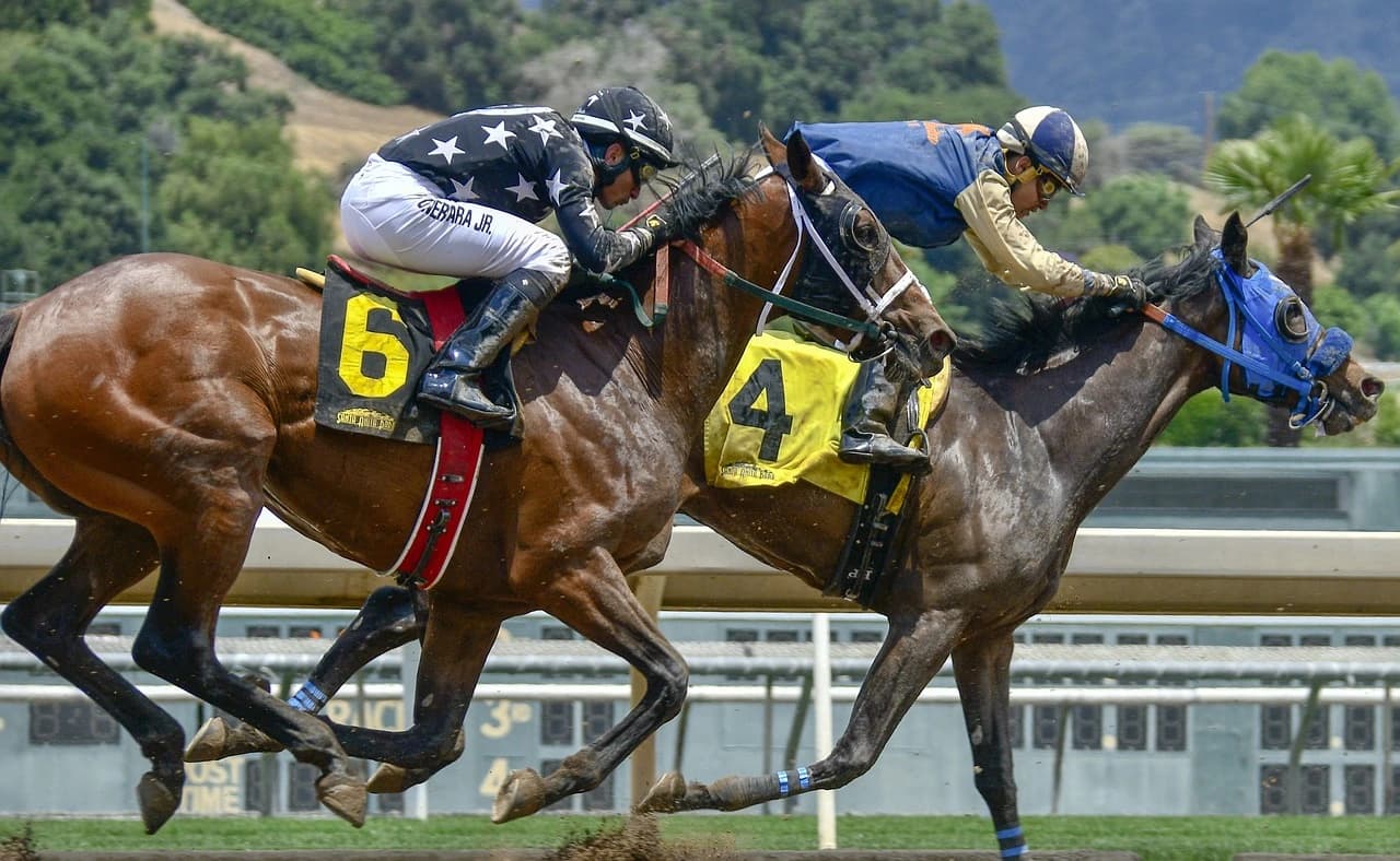 Best Live Betting Strategy: 5 Proven Technics logo