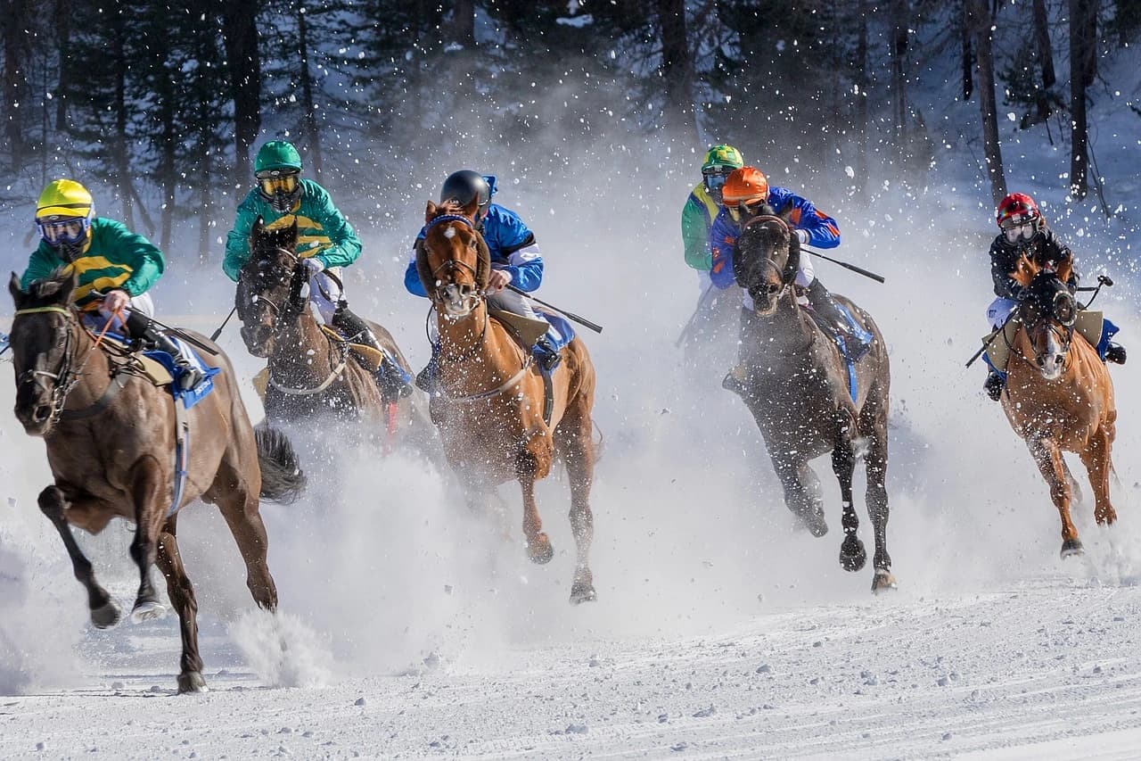 Best Betting Websites for Horse Racing: Top 8 logo