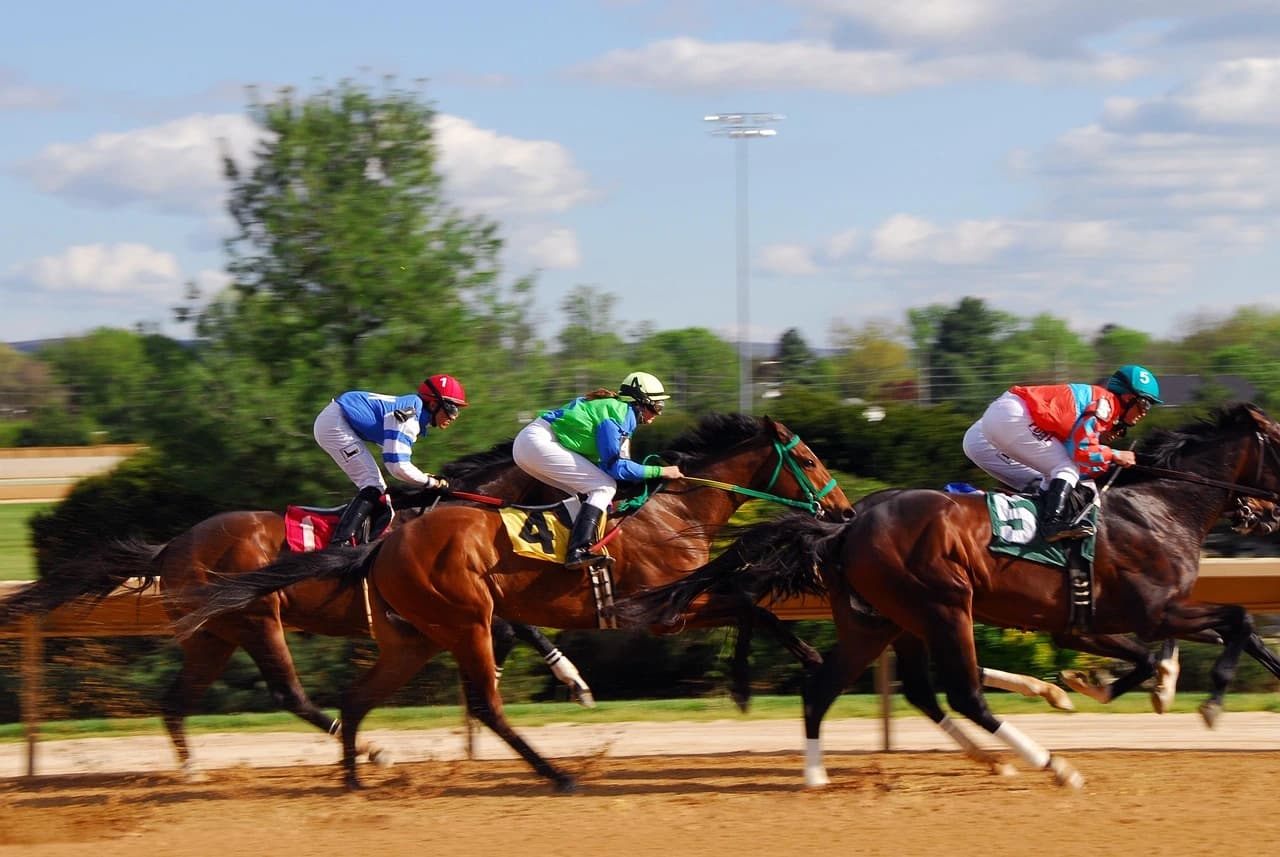 Best Online Bookies for Horse Racing: Top 5 logo