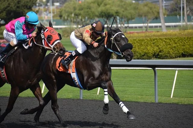 Across the Board: Triple the Fun in Horse Racing Bets