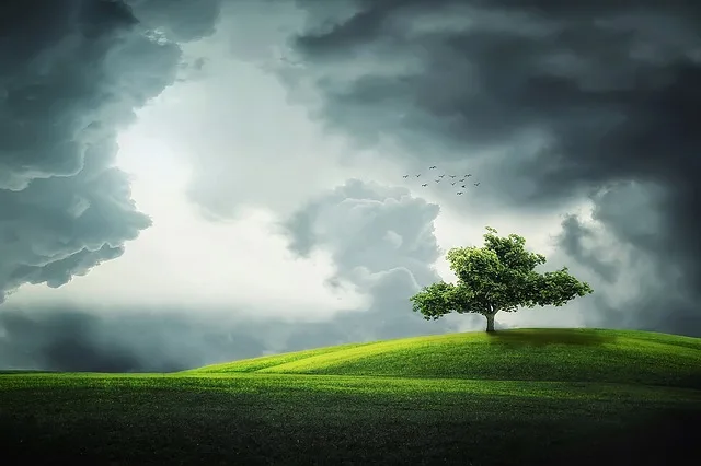 The Impact of Weather on Sports Betting: A Detailed Analysis